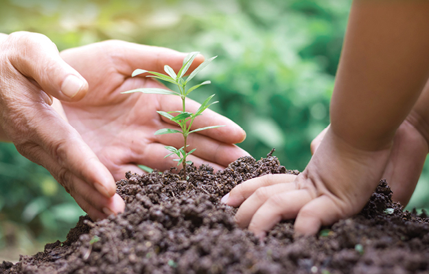 adult and child hands digging in dirt planting a tree